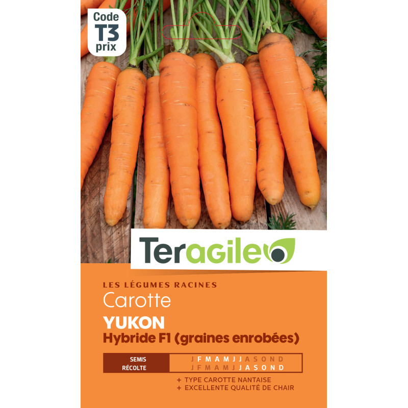 /CAROTTE YUKON HYB.F1 200 graines de Teragile - produits pour le jardin dans Graines de Carotte