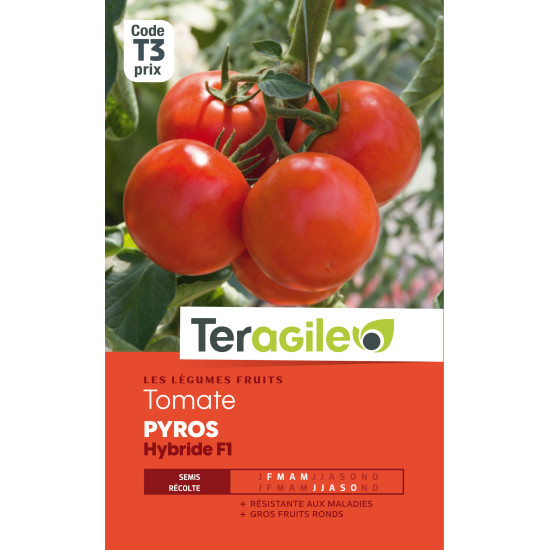 Tomate pyros hybride f1 t3 teragile de Teragile - produits pour le jardin dans Graines de Tomate