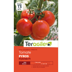 Tomate pyros hybride f1 t3 teragile de Teragile - produits pour le jardin dans Graines de Tomate