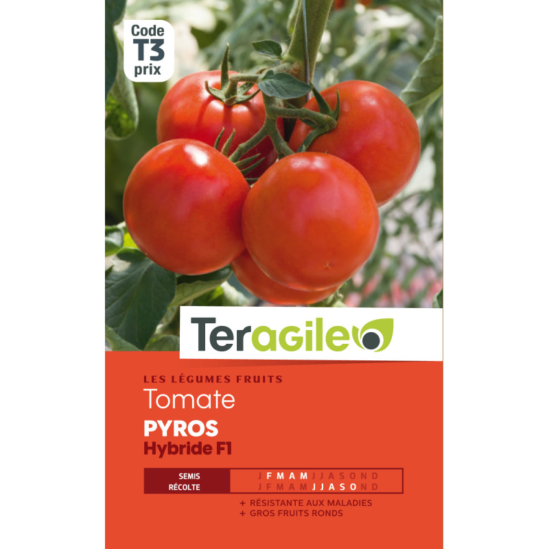 Tomate pyros hybride f1 t3 teragile de Teragile - produits pour le jardin dans Graines de Tomate