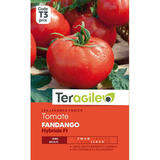 Tomate fandango hybride f1 t3 teragile de Teragile - produits pour le jardin dans Graines de Tomate