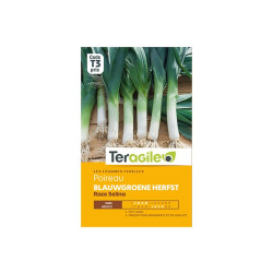 /POIREAU BLAUWGROENE HERFST RAC 3g de Teragile - produits pour le jardin dans Graines de Poireau