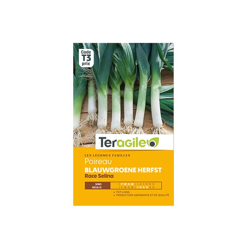 /POIREAU BLAUWGROENE HERFST RAC 3g de Teragile - produits pour le jardin dans Graines de Poireau