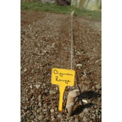 CORDEAU BOIS 1X25M de Jany France dans Outils à main pour le jardin