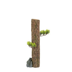 /DECO FOREST L de Zolux - Produit pour animaux dans Sujets pour aquarium