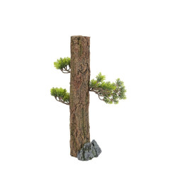 /DECO FOREST XL de Zolux - Produit pour animaux dans Sujets pour aquarium
