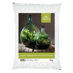 Pierres drainage terrarium blanches de Esschert design - deco maison et jardin dans Bouteille terrarium