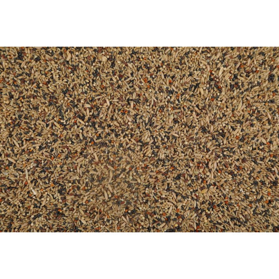 GRAINES CANARI NUTRIMEAL3 12KG de Zolux - Produit pour animaux dans Graines pour oiseaux