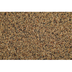 GRAINES CANARI NUTRIMEAL3 12KG de Zolux - Produit pour animaux dans Graines pour oiseaux