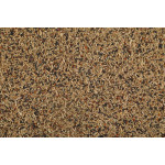 GRAINES CANARI NUTRIMEAL3 12KG de Zolux - Produit pour animaux dans Graines pour oiseaux
