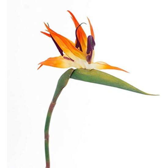 STRELITZIA ORANGE S/TIGE 81CM de Fleur artificielle dans Fleur artificielle