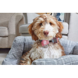 /Nœud papillon/pompon rose (2pcs) de Smart garden dans Accessoires pour chiens