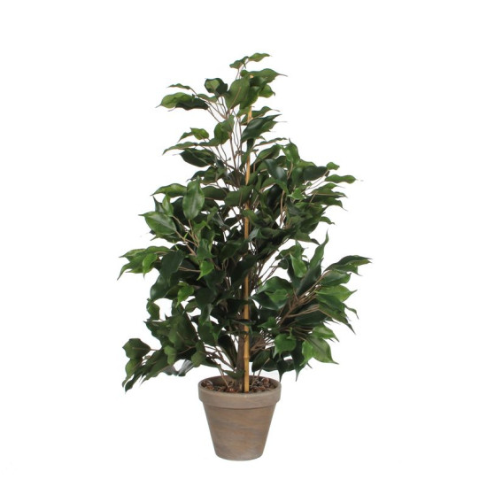 FICUS EXOTICA VERT D/POT STAN GRIS D13.5 de Edelman - deco maison et noël dans Plantes artificielles