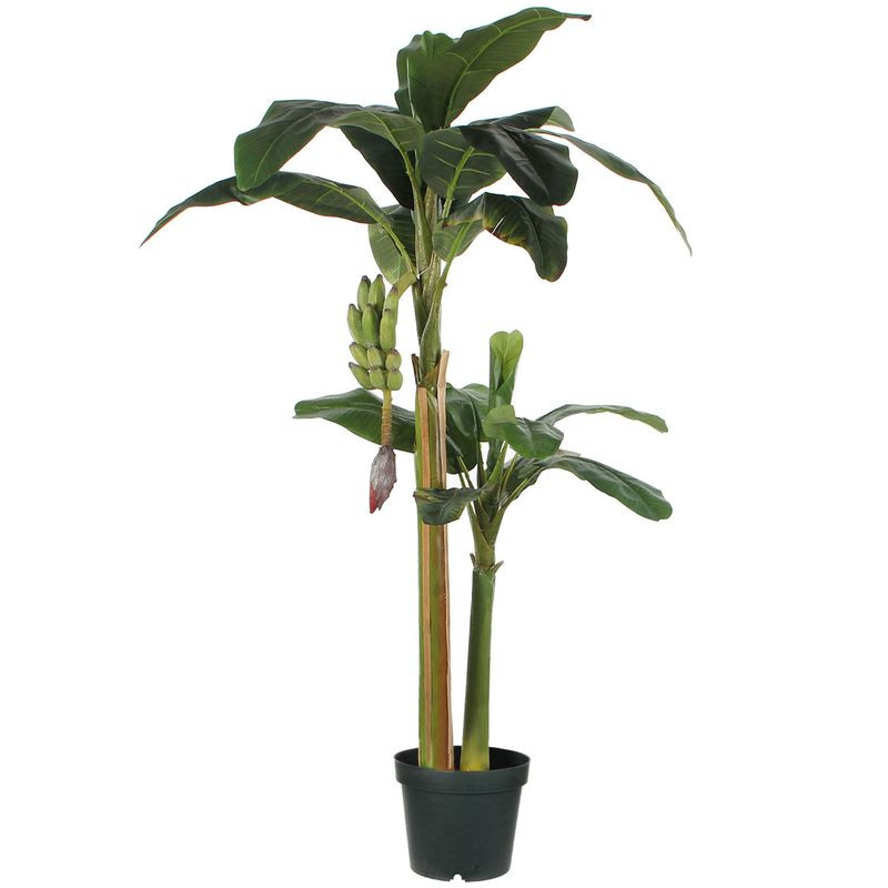 /BANANIER VERT DPOT H180 D115 de Edelman - deco maison et noël dans Produits désactivés
