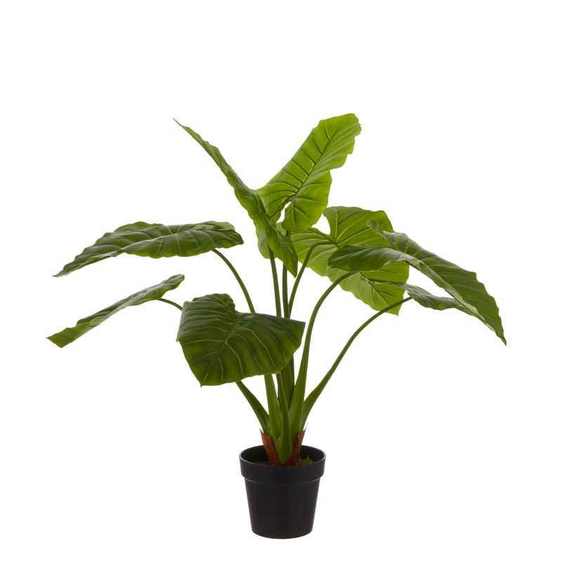 /TARO DPOT H100 D100 de Edelman - deco maison et noël dans Plantes artificielles