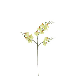 PHALAENOPSIS VERT 75CM de Fleur artificielle dans Fleur artificielle
