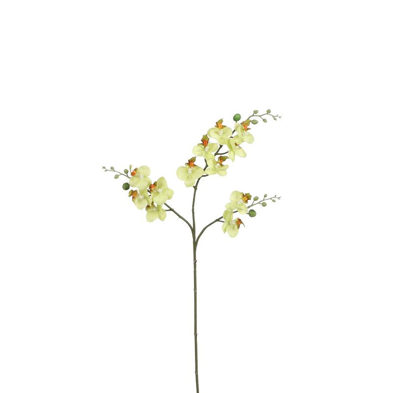 PHALAENOPSIS VERT 75CM de Fleur artificielle dans Fleur artificielle