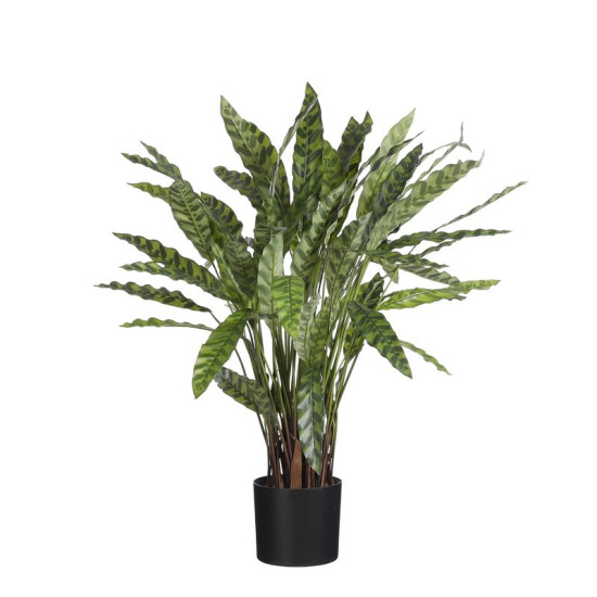 /CALATHEA DPOT VERT H84 D40 de Edelman - deco maison et noël dans Plantes artificielles