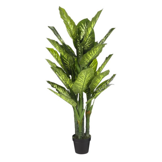 /DIEFFENBACHIA DPOT H150 D70 de Edelman - deco maison et noël dans Plantes artificielles