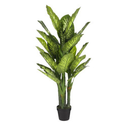/DIEFFENBACHIA DPOT H150 D70 de Edelman - deco maison et noël dans Plantes artificielles