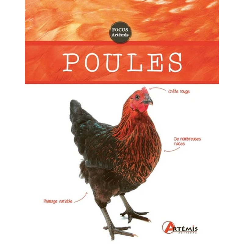 /POULES de Jardinerie Bordeaux Libourne Gironde dans 📘Livre et calendrier pour animaux
