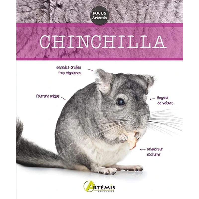 /CHINCHILLA de Jardinerie Bordeaux Libourne Gironde dans 📘Livre et calendrier pour animaux