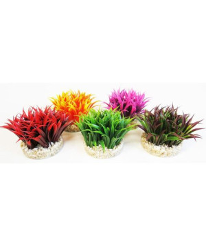 AQUA DELUXE GRASS PLANTE AQUARIUM de Sydeco - Plantes pour aquarium à bordeaux en Gironde dans Plantes d'aquarium