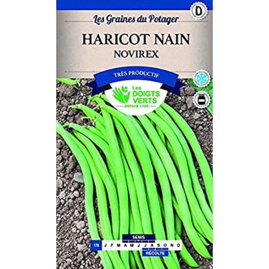 Haricot Nain Novirex 200g -graines de Les Doigts Verts - graines de Gironde à Bordeaux dans Graines de Haricot