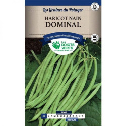 Haricot Nain Dominal 200g -graines de Les Doigts Verts - graines de Gironde à Bordeaux dans Graines de Haricot