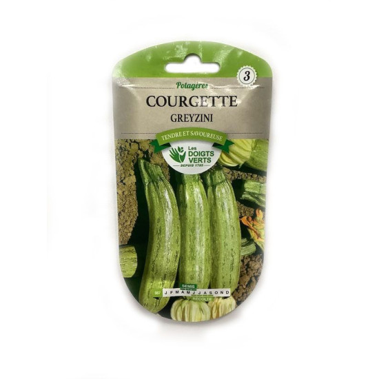 Courgette Greyzini -graines de Les Doigts Verts - graines de Gironde à Bordeaux dans Graines de Courgette - Courge
