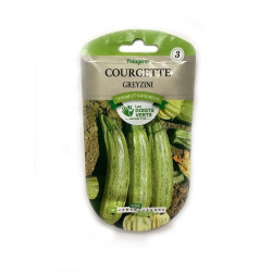 Courgette Greyzini -graines de Les Doigts Verts - graines de Gironde à Bordeaux dans Graines de Courgette - Courge