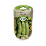 Courgette Greyzini -graines de Les Doigts Verts - graines de Gironde à Bordeaux dans Graines de Courgette - Courge