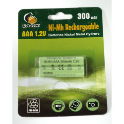 BATTERIE RECHARGEABLE 300MAH/2 de Jardinerie Bordeaux Libourne Gironde dans Eclairage Solaire de jardin