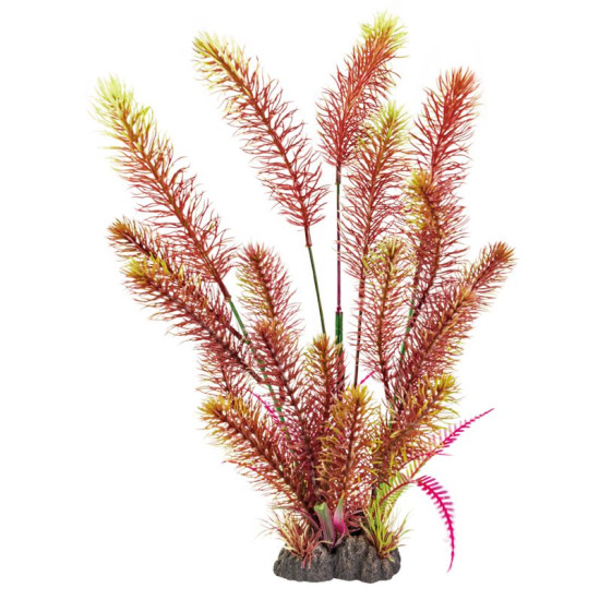 Plante déco aquarium 40CM MYRIOPHYLL RED de Superfish - Aquadistri - accessoires pour aquarium et bassin dans Plantes d'aquarium