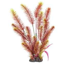 Plante déco aquarium 40CM MYRIOPHYLL RED de Superfish - Aquadistri - accessoires pour aquarium et bassin dans Plantes d'aquarium