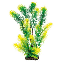 Plante déco aquarium 40CM MYRIOPHYLLUM de Superfish - Aquadistri - accessoires pour aquarium et bassin dans Plantes d'aquarium