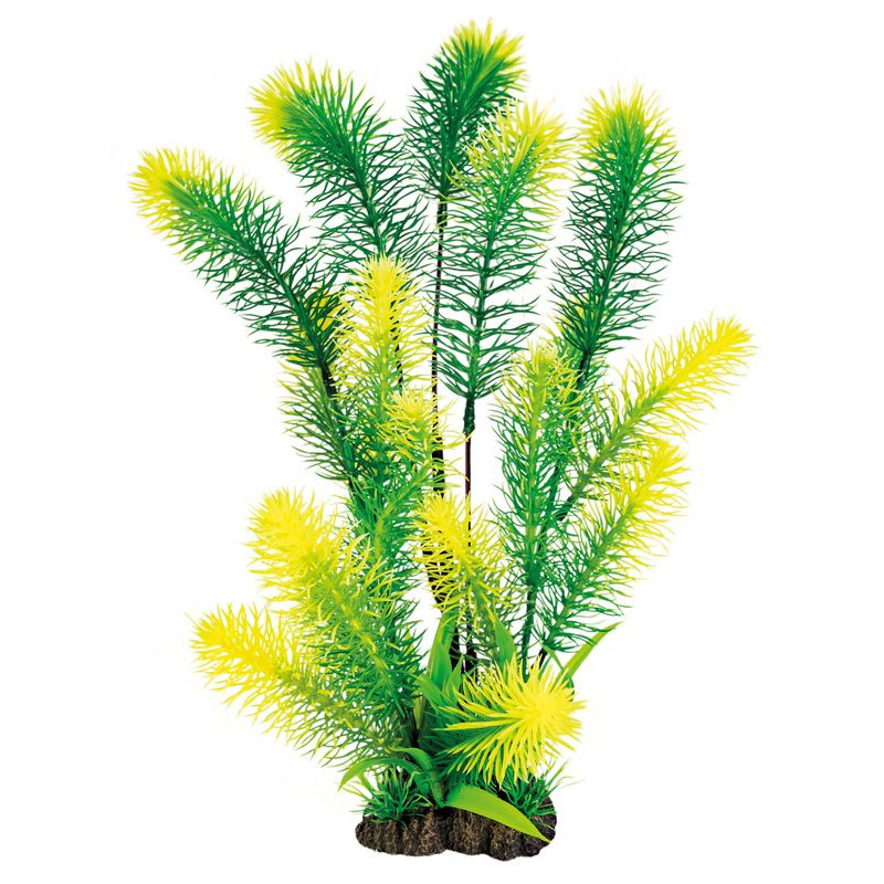 Plante déco aquarium 40CM MYRIOPHYLLUM de Superfish - Aquadistri - accessoires pour aquarium et bassin dans Plantes d'aquarium