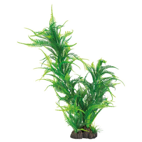 Plante déco aquarium 40CM MICROSORUM de Superfish - Aquadistri - accessoires pour aquarium et bassin dans Plantes d'aquarium