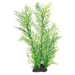 Plante déco aquarium 40CM CERATOPTERIS de Superfish - Aquadistri - accessoires pour aquarium et bassin dans Plantes d'aquarium