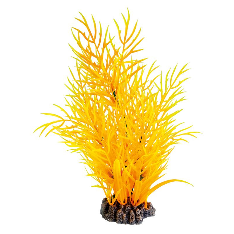 Plante déco aquarium 25CM ORANGE de Superfish - Aquadistri - accessoires pour aquarium et bassin dans Plantes d'aquarium