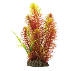 Plante déco aquarium 25CM MYRIOPHYLL RED de Superfish - Aquadistri - accessoires pour aquarium et bassin dans Plantes d'aquarium