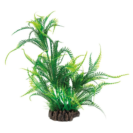 Plante déco aquarium 25CM MICROSORUM de Superfish - Aquadistri - accessoires pour aquarium et bassin dans Plantes d'aquarium