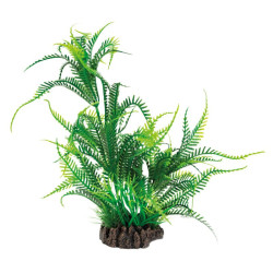 Plante déco aquarium 25CM MICROSORUM de Superfish - Aquadistri - accessoires pour aquarium et bassin dans Plantes d'aquarium