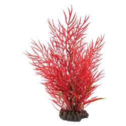 Plante déco aquarium 25CM LUDWIGIA de Superfish - Aquadistri - accessoires pour aquarium et bassin dans Plantes d'aquarium