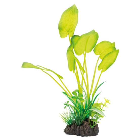 Plante déco aquarium 25CM ECHINODORUS de Superfish - Aquadistri - accessoires pour aquarium et bassin dans Plantes d'aquarium