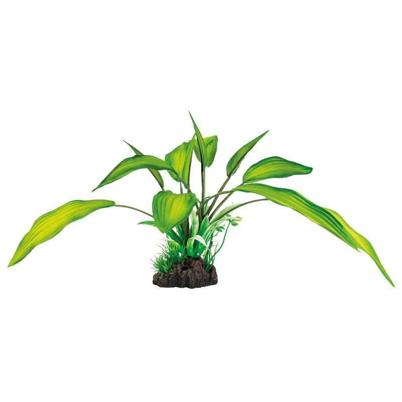 Plante déco aquarium 25CM CRYPTOCORYNE de Superfish - Aquadistri - accessoires pour aquarium et bassin dans Plantes d'aquarium