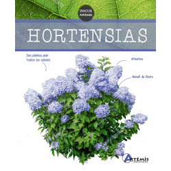 HORTENSIAS de Jardinerie Bordeaux Libourne Gironde dans 📗Livre sur le jardin