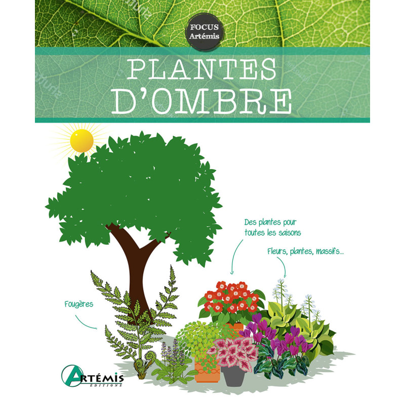 PLANTES D'OMBRE de Jardinerie Bordeaux Libourne Gironde dans 📗Livre sur le jardin