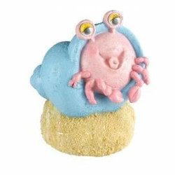 Bernard l'ermite action air 7,6x7,2x8,5cm de Animalerie Libourne et Bordeaux - Gironde dans Sujets pour aquarium