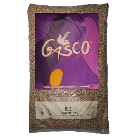 Ble 5Kg Gasco de Gasco dans Alimentation des poules et animaux de basse cour